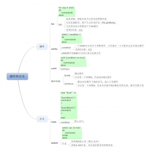 循环和分支